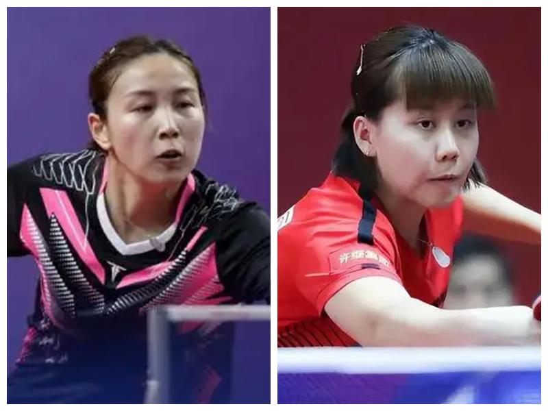 反观体育界 反观体育界